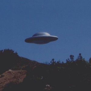 国产中文字幕在线观看
