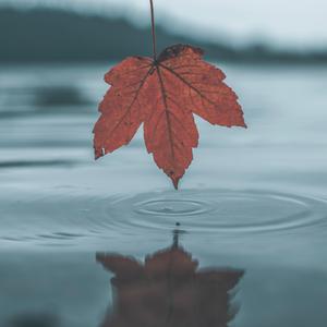 国产中文字幕在线观看
