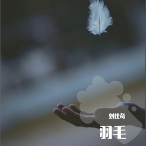 国产中文字幕在线观看
