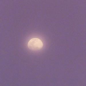 国产中文字幕在线观看
