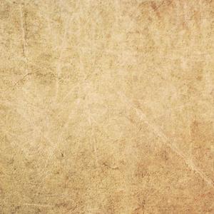 国产中文字幕在线观看
