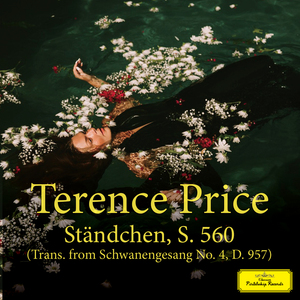 国产中文字幕在线观看
