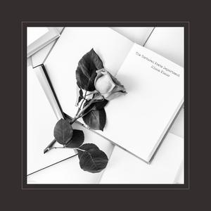 国产中文字幕在线观看
